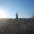 Webcam_20210428-061500