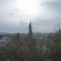 Webcam_20210501-083000