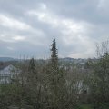 Webcam_20210501-084500