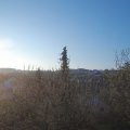 Webcam_20210503-054500