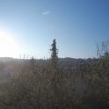 Webcam_20210503-061500