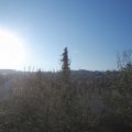 Webcam_20210503-063000