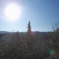Webcam_20210503-073000