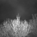 Webcam_20210503-210000