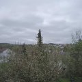 Webcam_20210504-123000