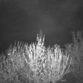 Webcam_20210504-210000