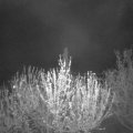 Webcam_20210504-213000