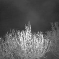 Webcam_20210504-214500