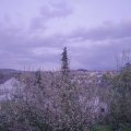 Webcam_20210505-201500