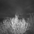 Webcam_20210505-204500