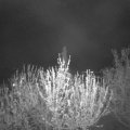 Webcam_20210505-211500