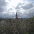 Webcam_20210506-083000