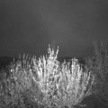Webcam_20210506-204500