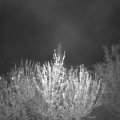 Webcam_20210506-213000