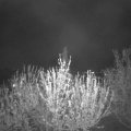 Webcam_20210507-211500