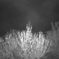 Webcam_20210507-214500