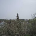 Webcam_20210508-110000
