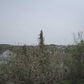 Webcam_20210508-114500