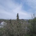 Webcam_20210508-131500