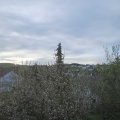 Webcam_20210509-053000