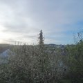 Webcam_20210509-061500