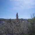 Webcam_20210509-101500