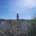 Webcam_20210509-111500