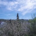 Webcam_20210509-113000
