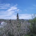 Webcam_20210509-124500