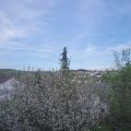 Webcam_20210509-184500