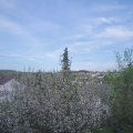 Webcam_20210509-190000