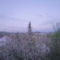 Webcam_20210509-200000