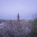 Webcam_20210509-201500