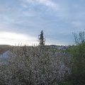 Webcam_20210510-051500