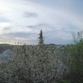 Webcam_20210510-053000