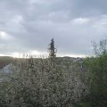 Webcam_20210510-063000