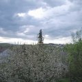 Webcam_20210510-064500