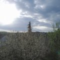 Webcam_20210510-071500