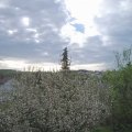 Webcam_20210510-073000