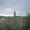 Webcam_20210510-074500