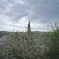 Webcam_20210510-100000