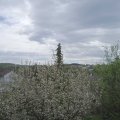 Webcam_20210510-101500