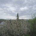 Webcam_20210510-113000