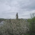 Webcam_20210510-121500