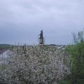 Webcam_20210510-183000