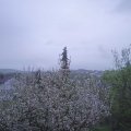 Webcam_20210510-190000