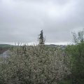 Webcam_20210511-104500