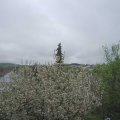 Webcam_20210511-120000