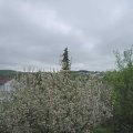 Webcam_20210511-124500