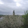 Webcam_20210511-131500